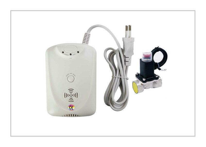 Combustible Gases Carbon Monoxide / Co And Gas Detector For Villas, Hotels, Markets LYD-710DV