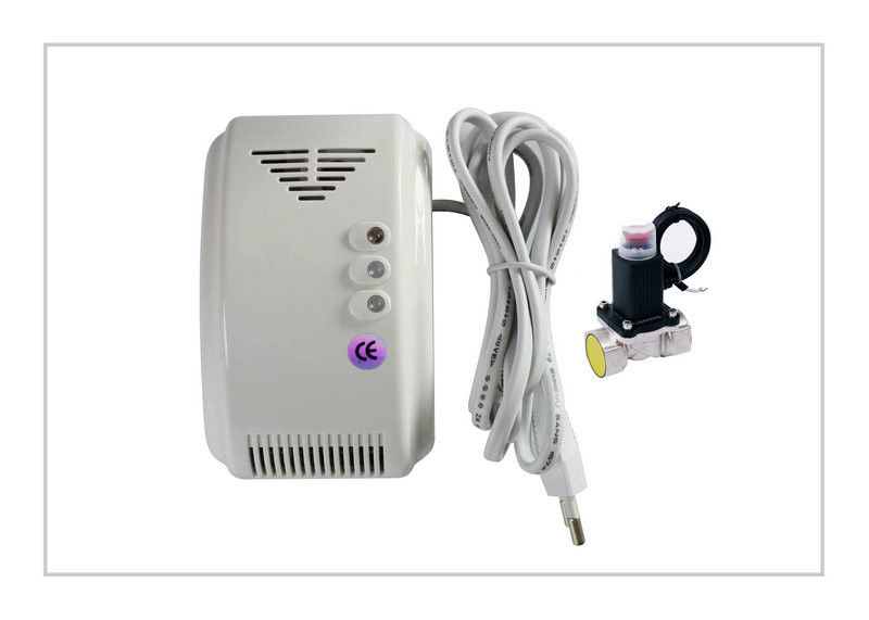 90 - 240vac Carbon Monoxide And Gas Detector / Portable Gas Detector LYD-706DV CE