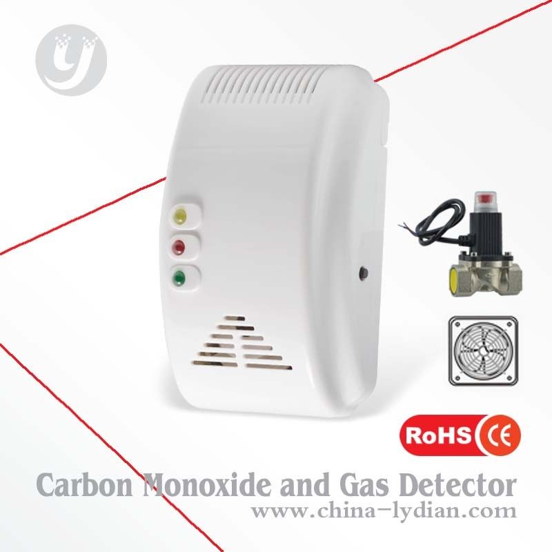 Combine Carbon Monoxide And Gas Detector 2 In 1 Poisoning Gas Tester Alarm
